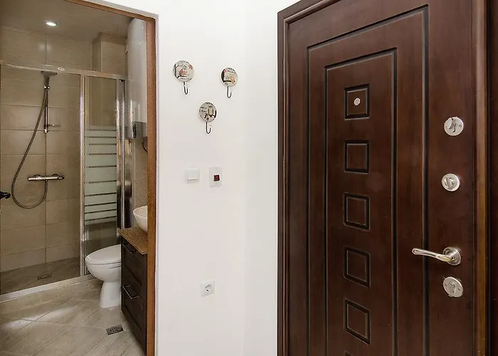 The Cozy Apartment *